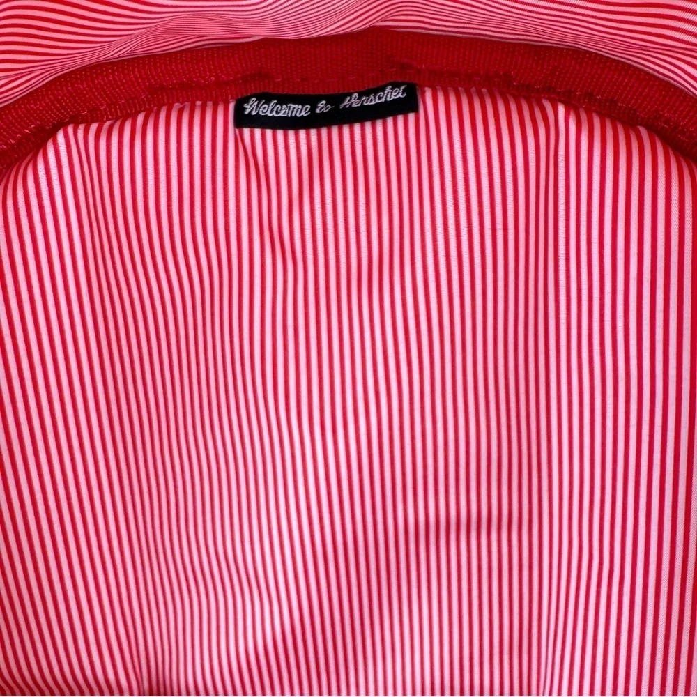 URBAN OUTFITTERS Hershel classic light backpack pink